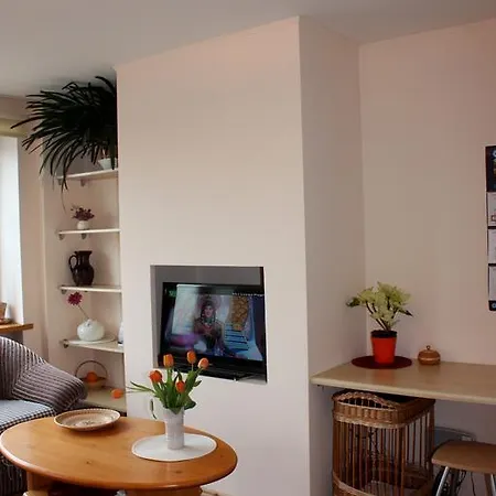 Brivibas Street Studio Appartement